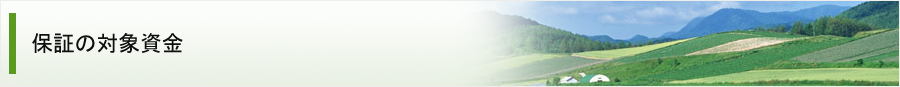 保証の対象資金