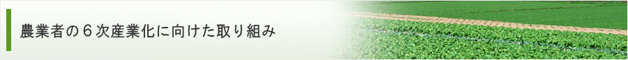 農業者の６次産業化に向けた取り組み